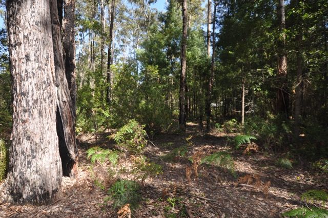 Lot 109 KARRI LANE, Quinninup WA 6258, Image 2