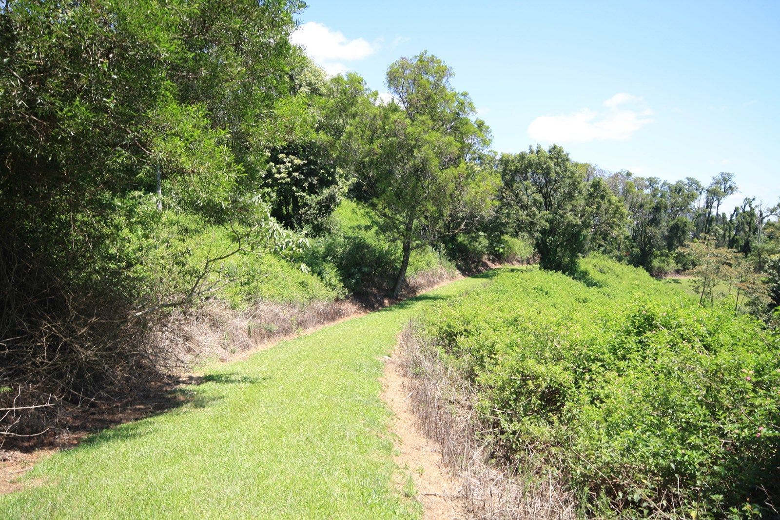 Lot 1 Numinbah Road, Numinbah NSW 2484, Image 1