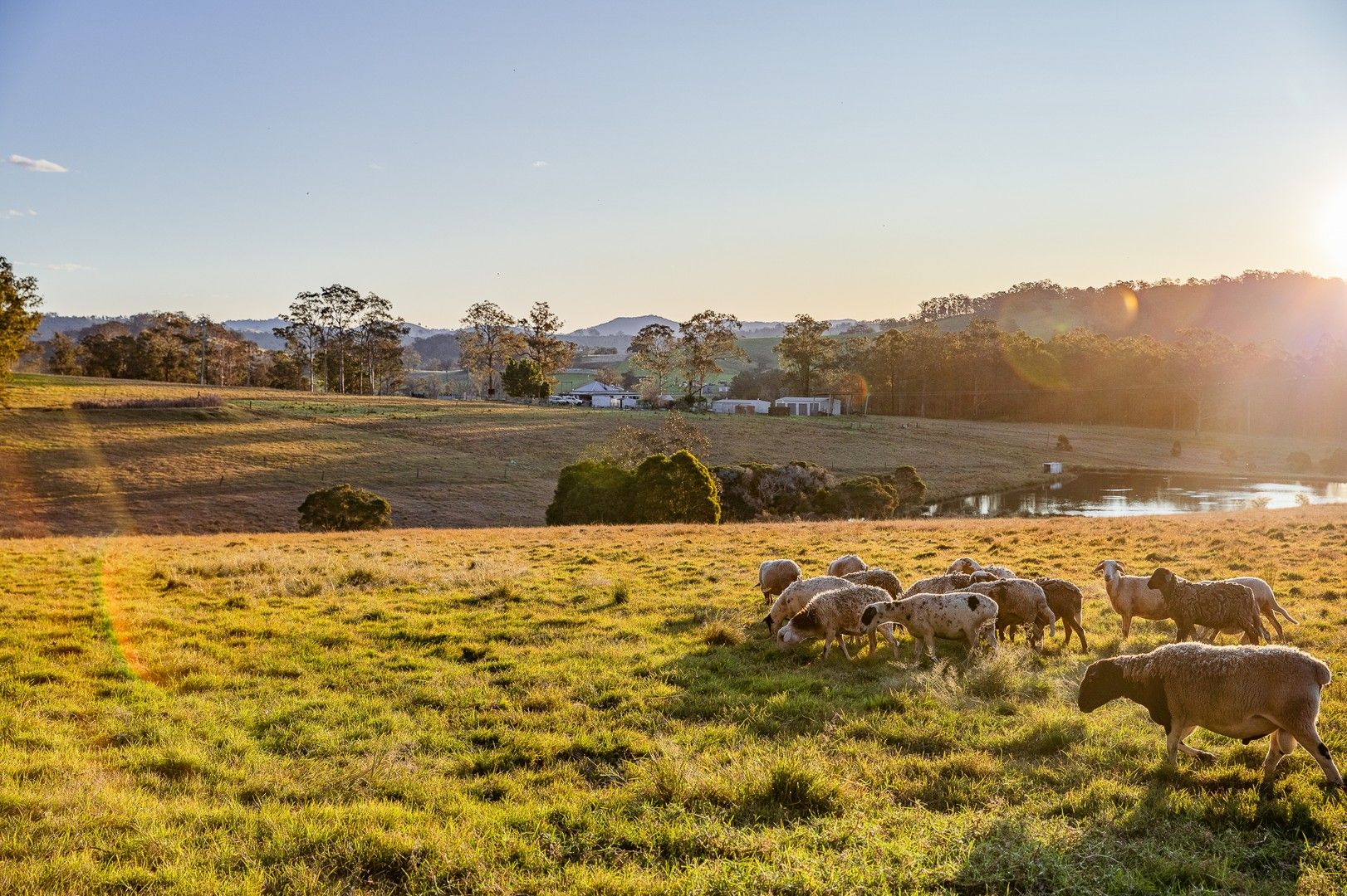 351 Monkerai Road, Main Creek NSW 2420, Image 0