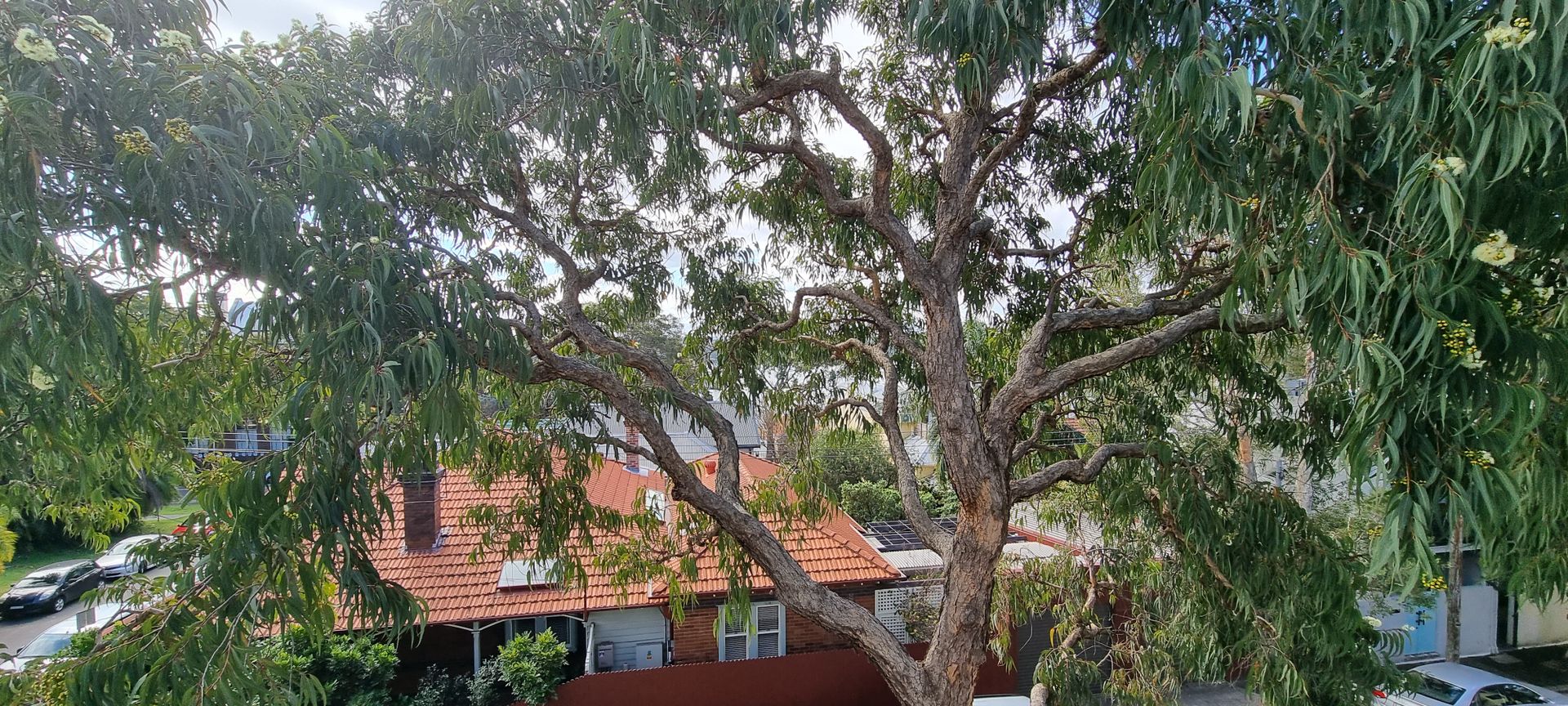 9/15 Macquarie Terrace, Balmain NSW 2041, Image 1