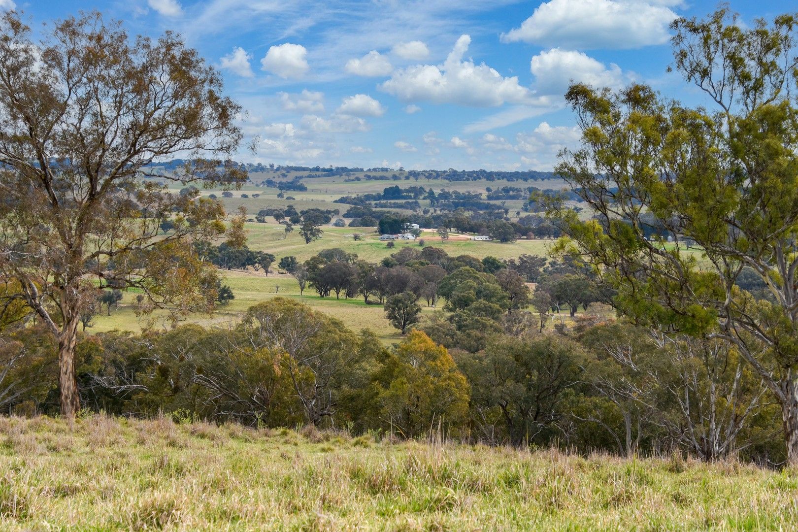 2625 Trunkey Road, Caloola NSW 2795, Image 0