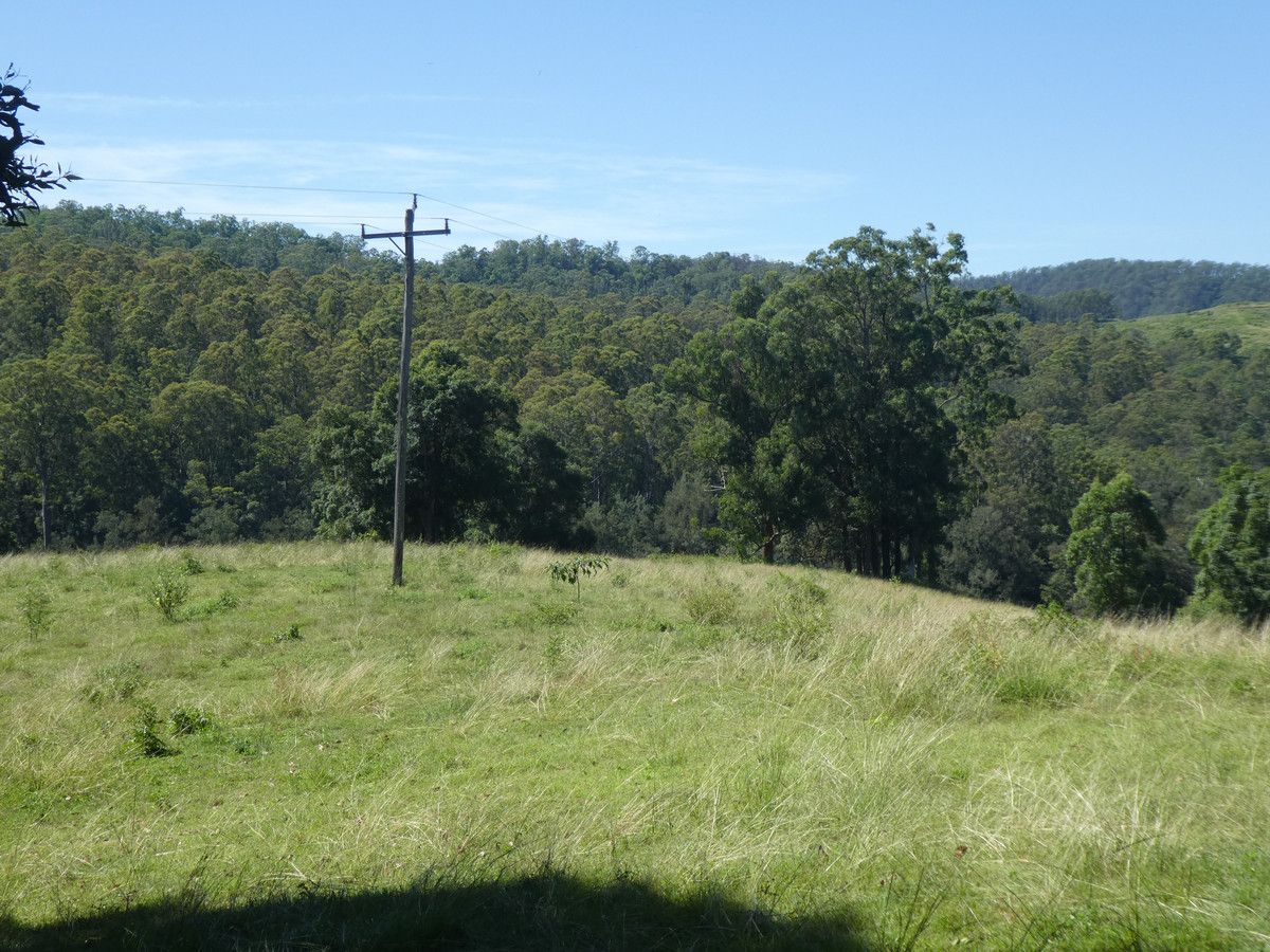 Lot 19 & 21 Afterlee Road, Afterlee NSW 2474, Image 2