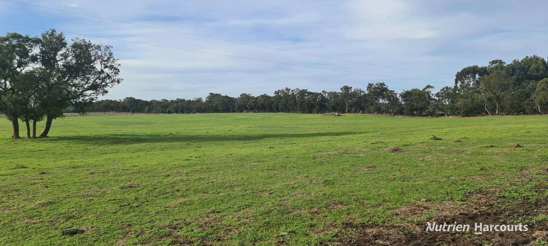 Image 14