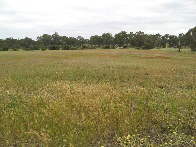 Lot 2 Hodges Lane, Longlea VIC 3551, Image 0