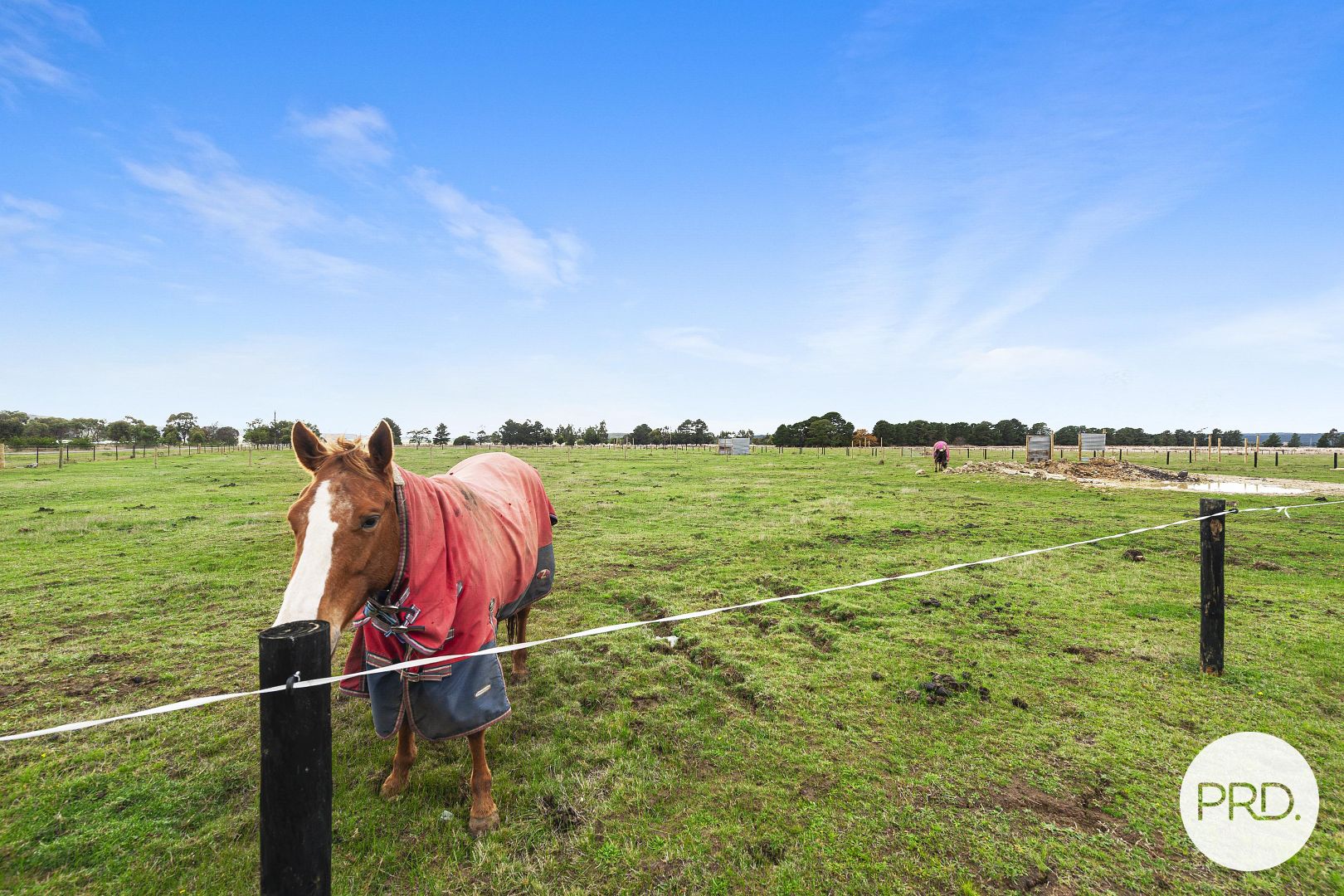 21 Exchequer Road, Cape Clear VIC 3351 Domain