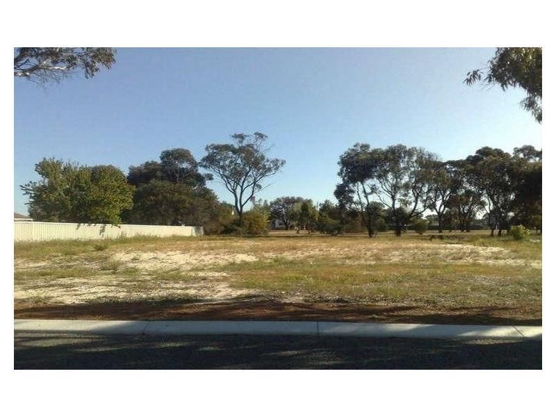 Lot 176 Armstrong Street, Cranbrook WA 6321, Image 2