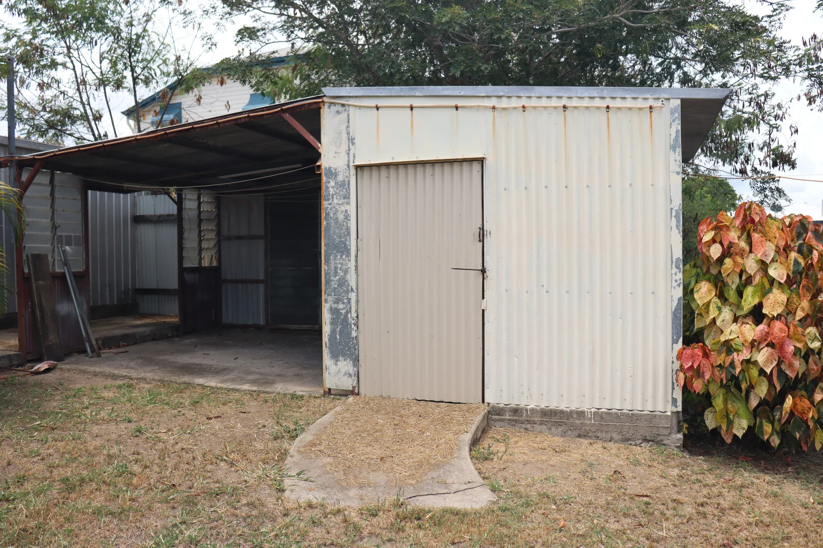 Image 15