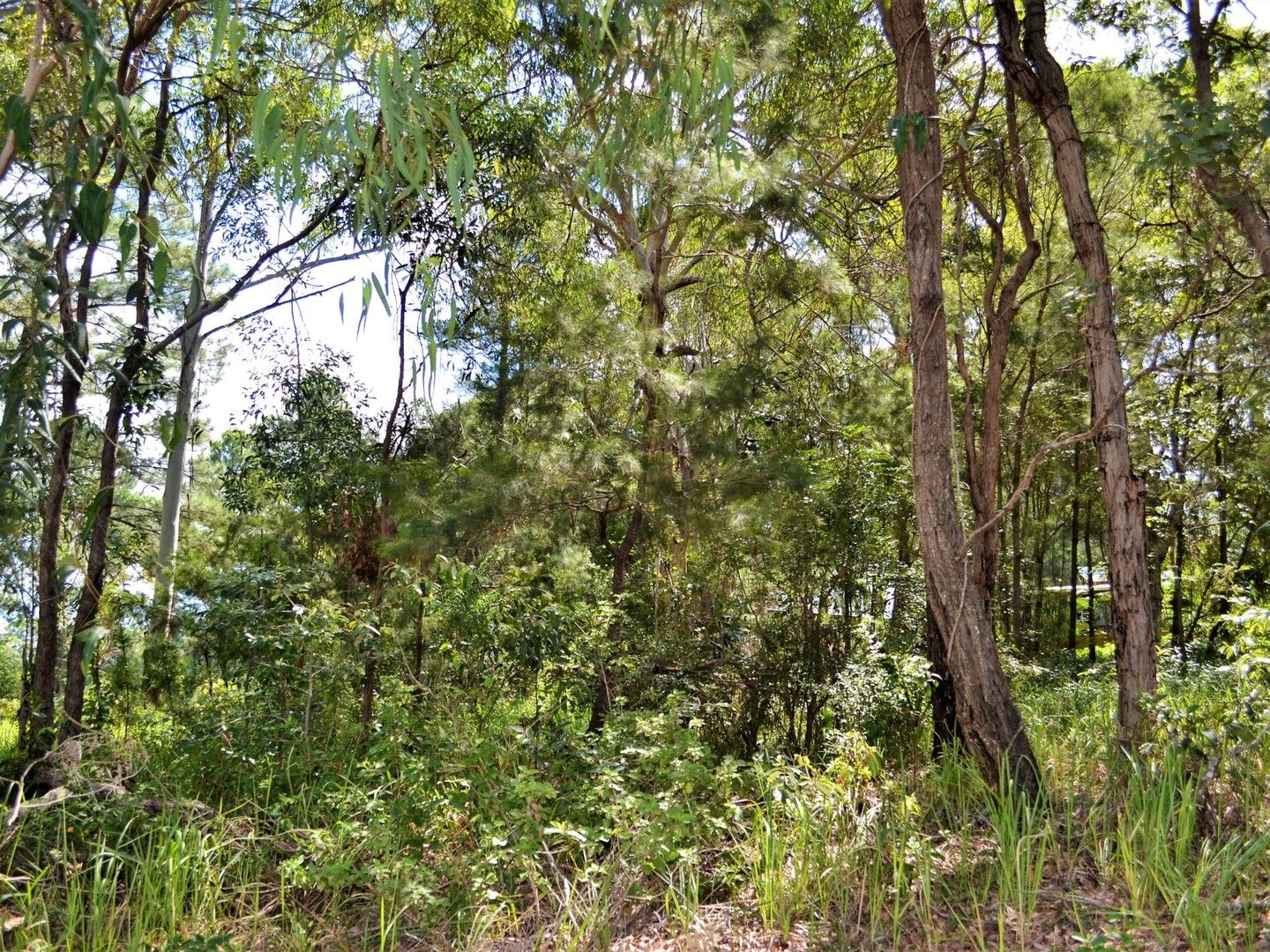 Vacant land in 87 High Central Road, MACLEAY ISLAND QLD, 4184