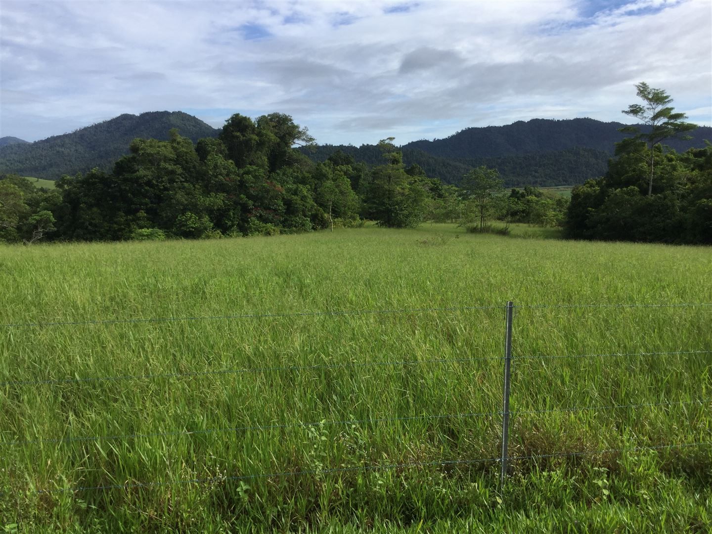 Lot 125 Sammut Road, Japoonvale QLD 4856, Image 0