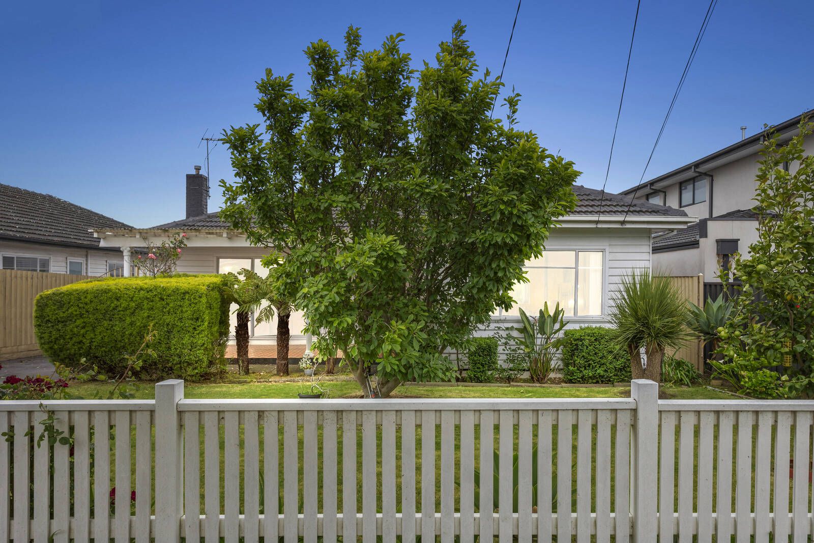 13 Daly Street, Oakleigh East VIC 3166, Image 0