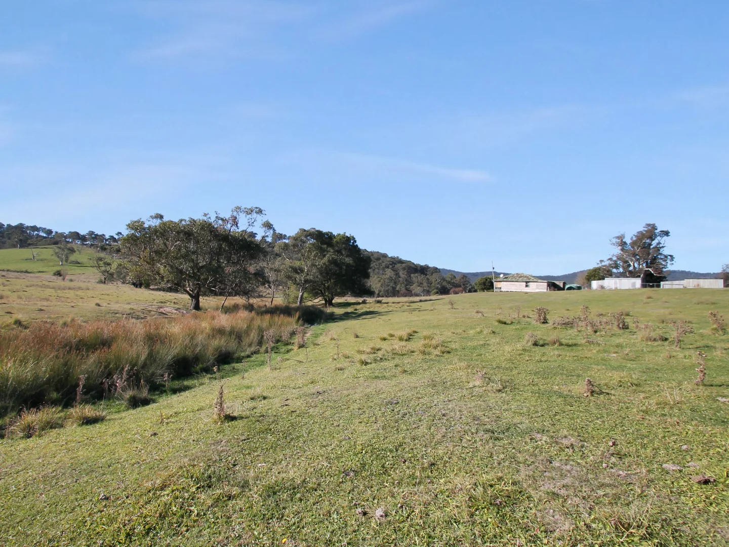 Image 13
