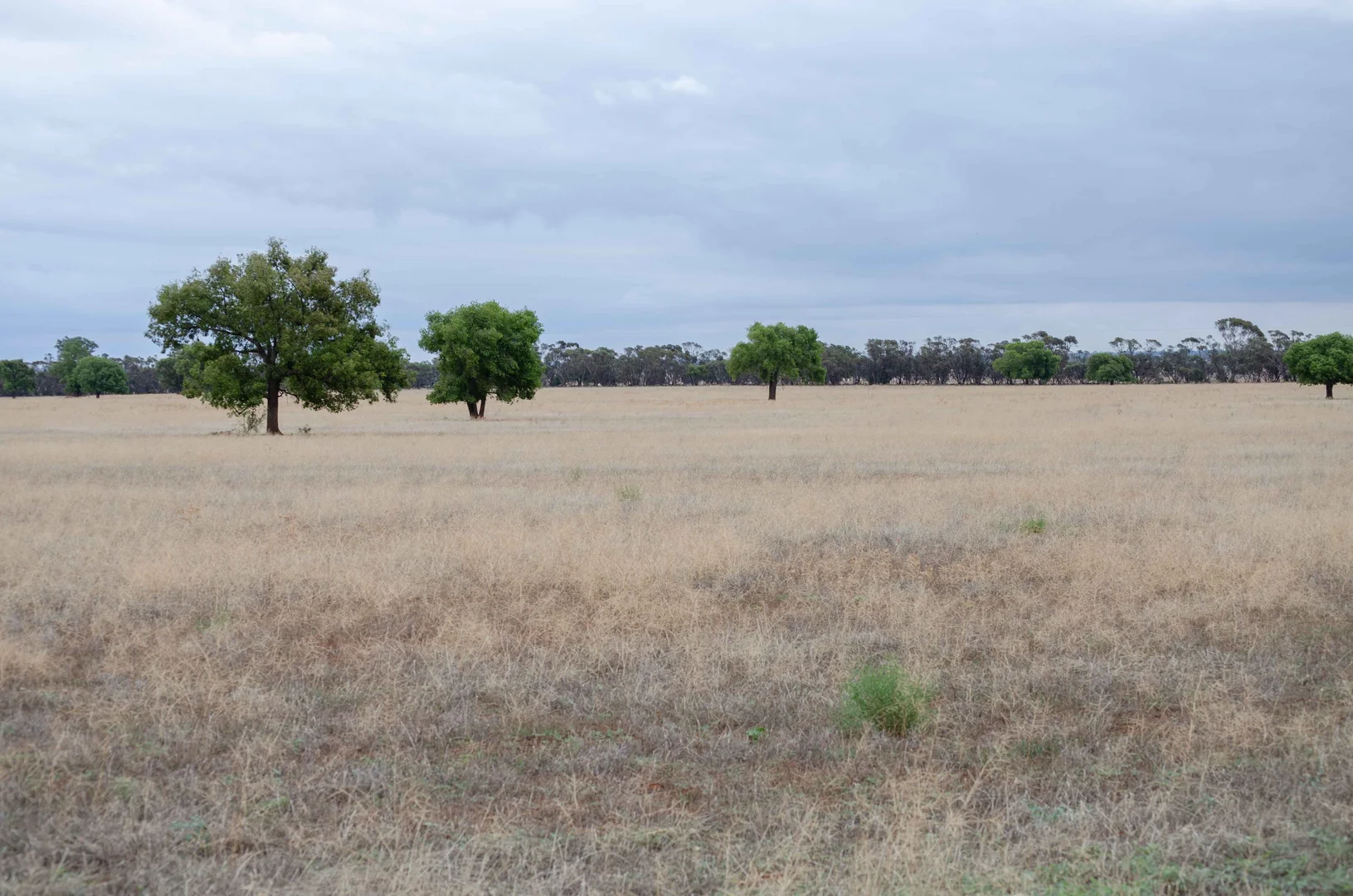 Additional image 10 of 83 Cornells Road, Condobolin NSW 2877