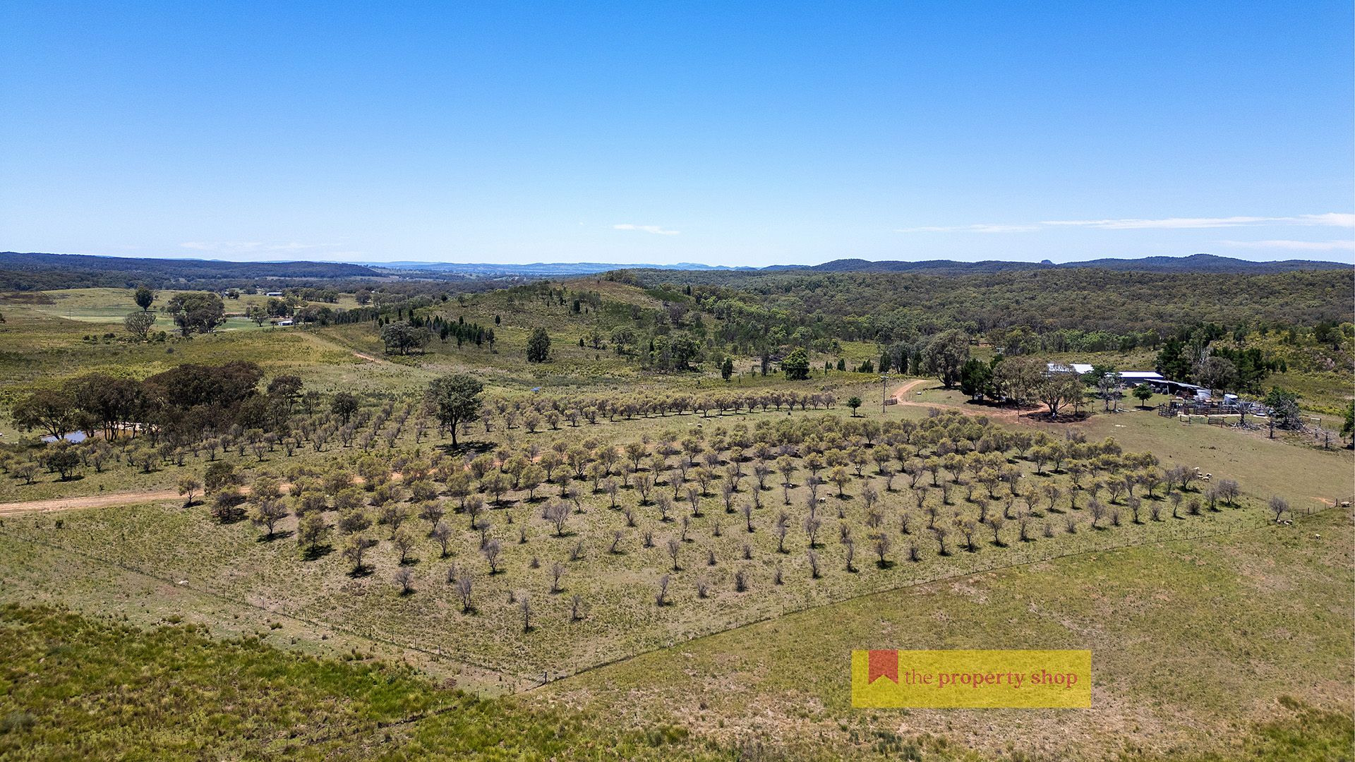 1732 Spring Ridge Road, Gulgong NSW 2852, Image 0