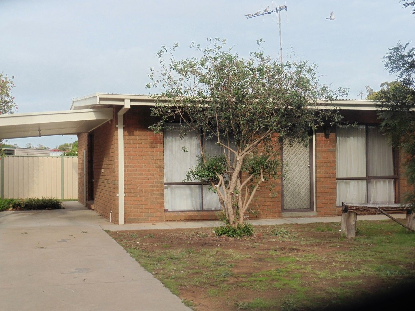 45B Kamarooka Street, Barooga NSW 3644 Apartment For Rent 250 Domain