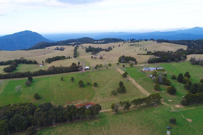 Picture of DORRIGO MOUNTAIN NSW 2453