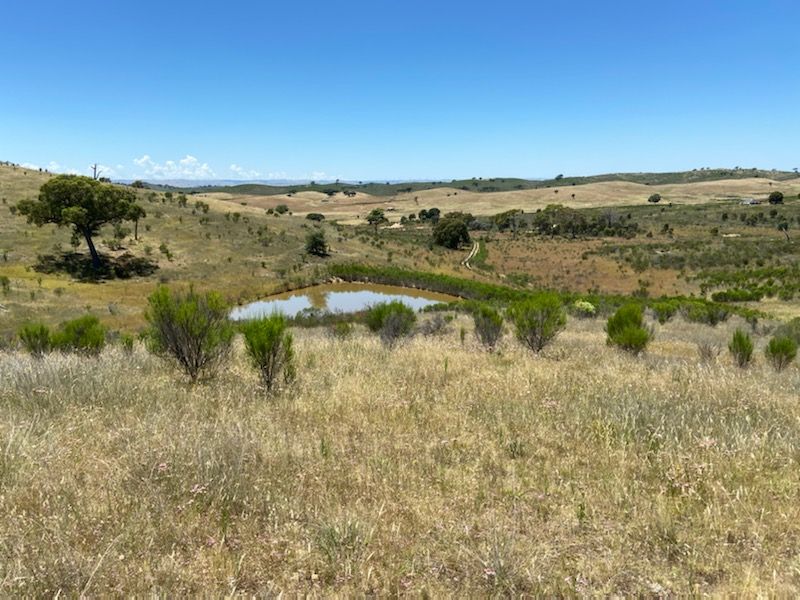 Maryvale Road, Bevendale NSW 2581, Image 1