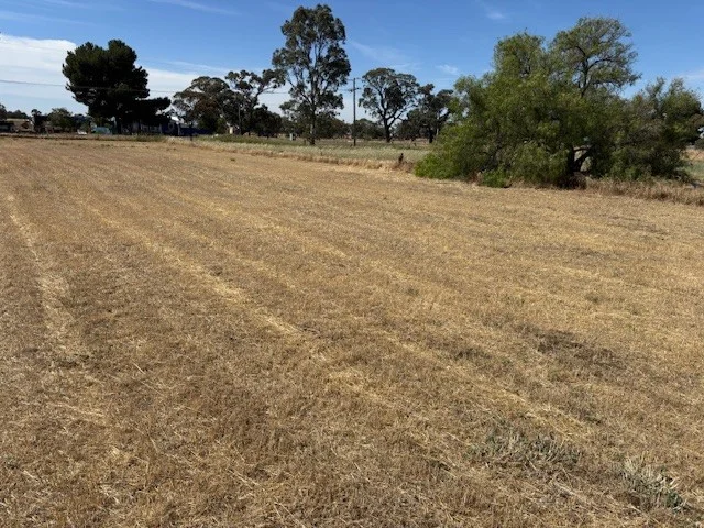 Additional image 2 of 10 Main St, Minyip VIC 3392