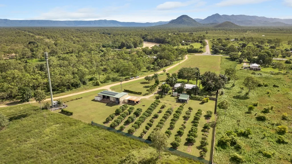 Additional image 21 of 17 Farm Road, Black River QLD 4818