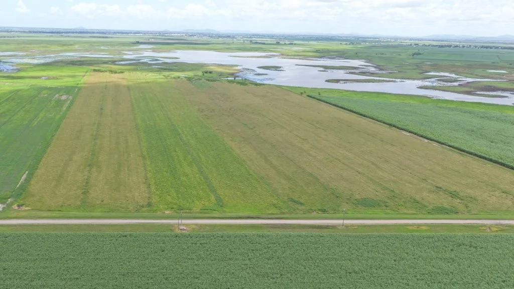 Additional image 41 of 162 Becker Road, Brandon QLD 4808