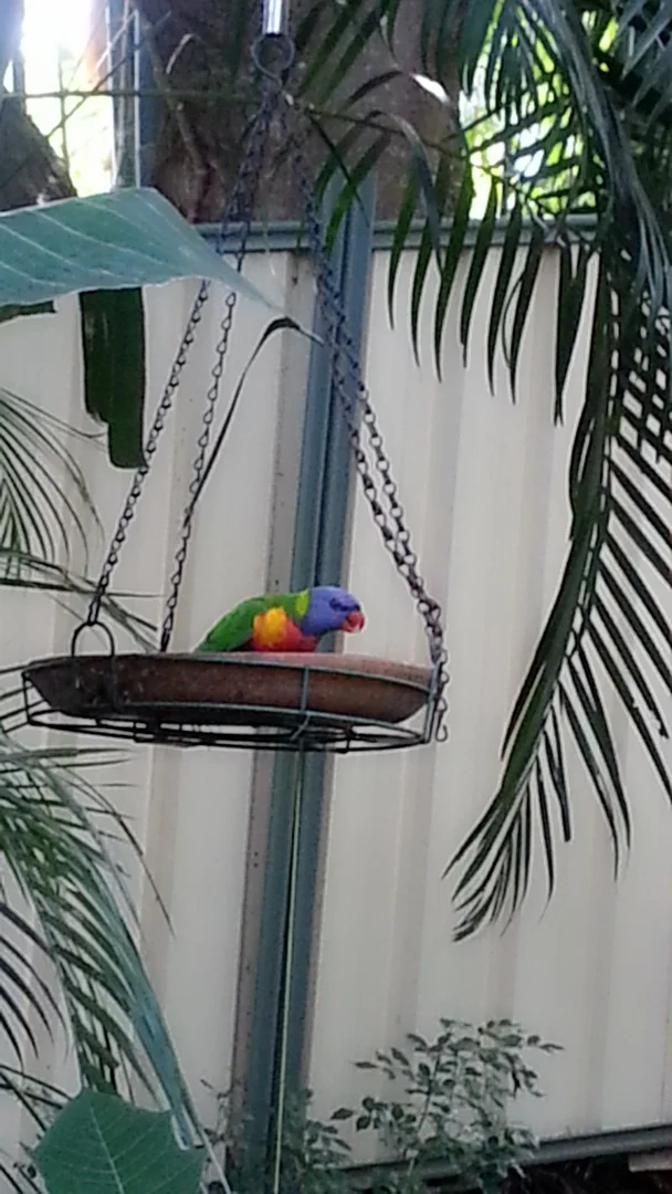 Additional image 11 of UNIT 6/29 Pring Street, Tarragindi QLD 4121