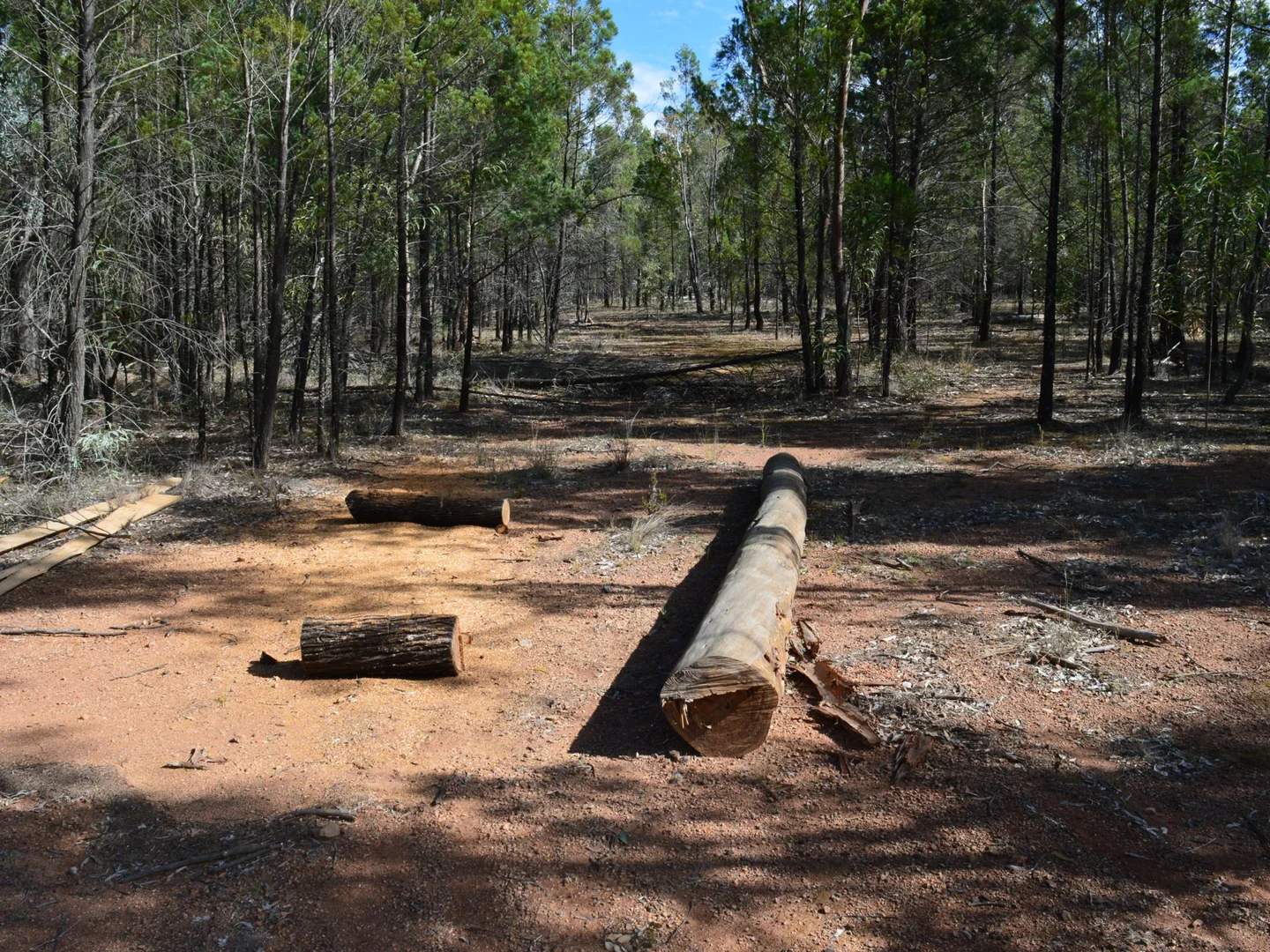 Additional image 6 of Lot 17 The Hut Road, Inglewood QLD 4387