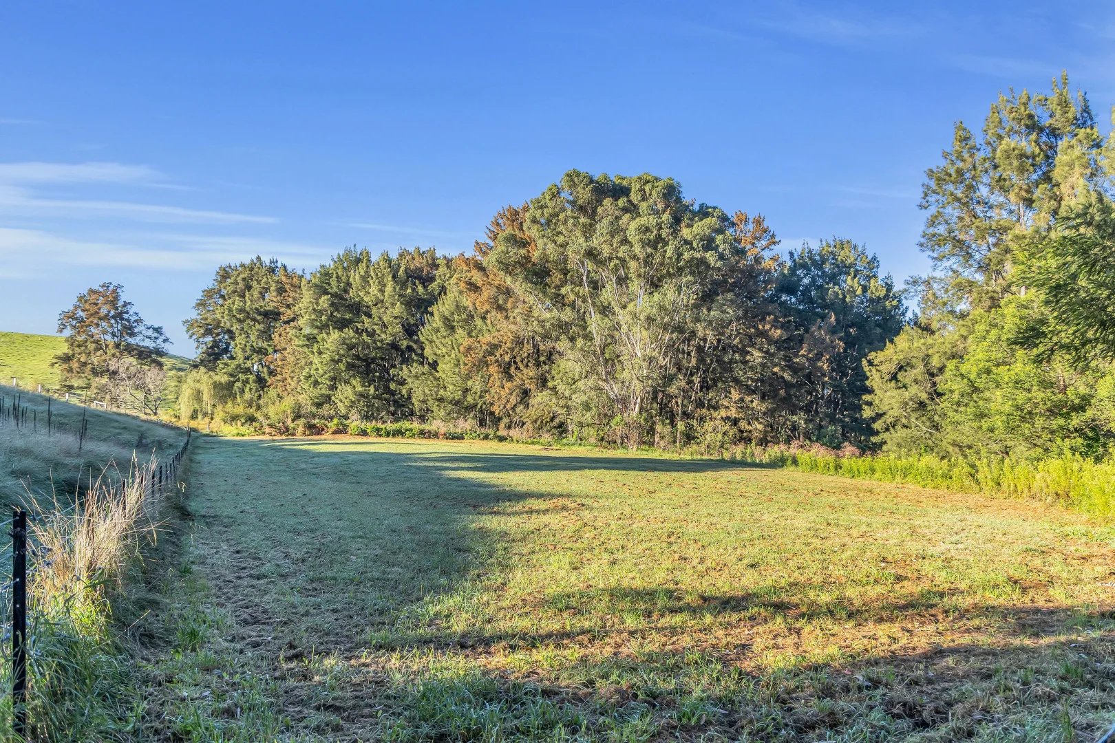 Additional image 24 of Bega NSW 2550