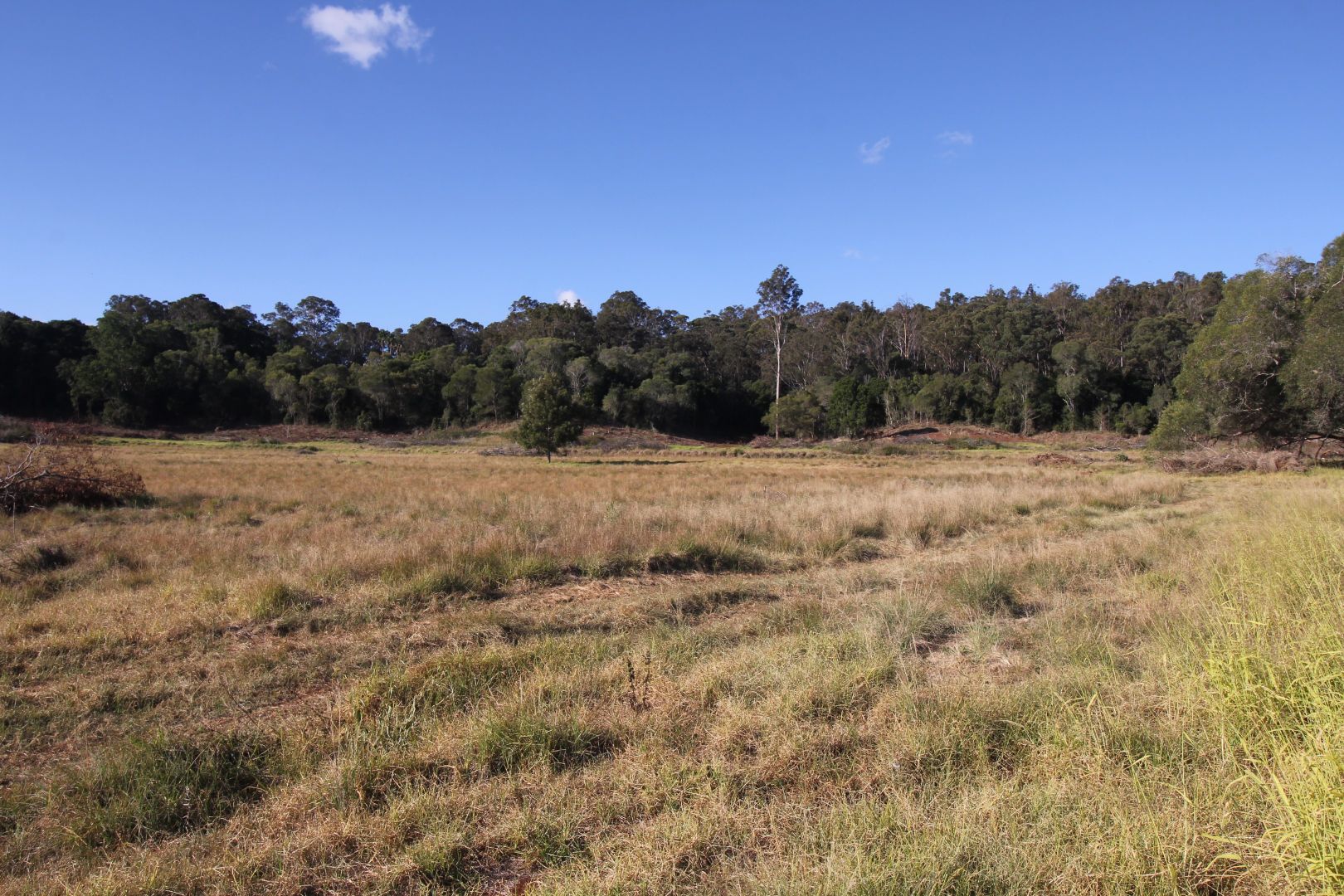 Lot 7/197 Taylors Road, Kingaroy QLD 4610, Image 1