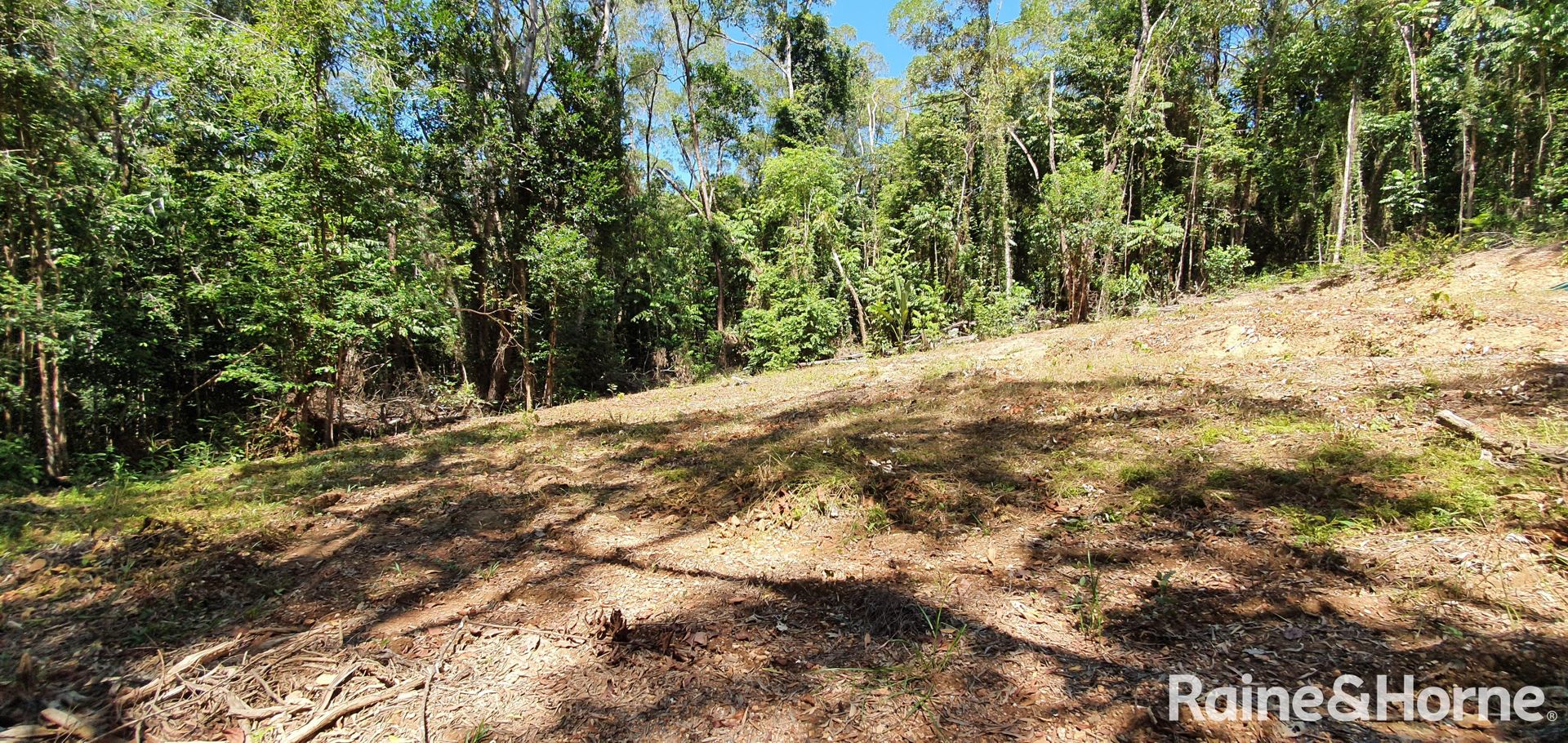 Lot 37 Ronald Road FOREST CREEK, Daintree QLD 4873, Image 2