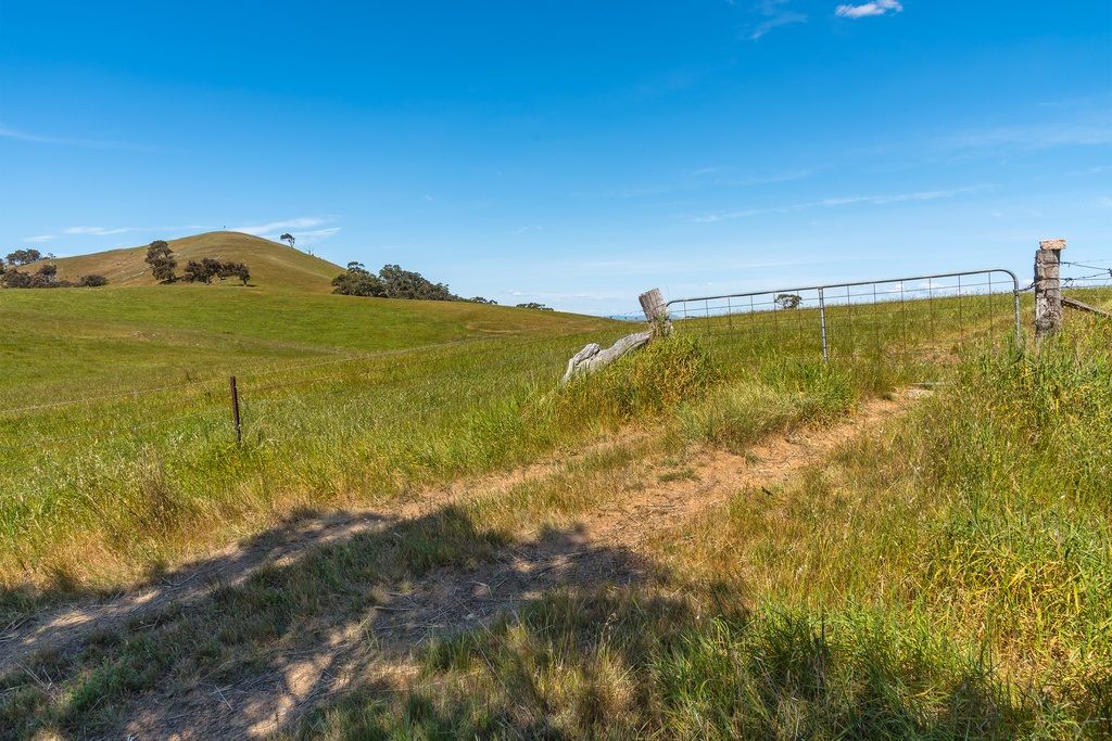 410 Tooborac-Baynton Rd, Tooborac VIC 3522, Image 2