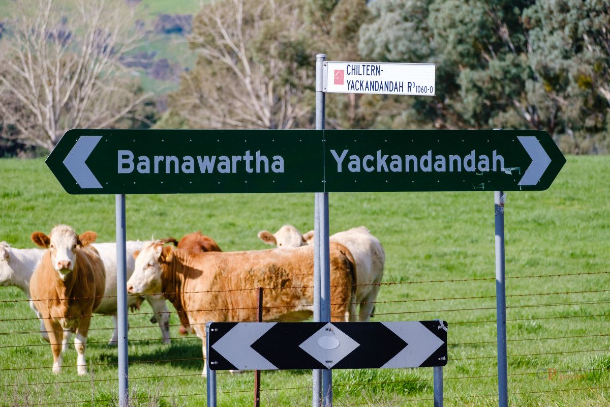 Chiltern-Yackandandah Road, Indigo Valley VIC 3688, Image 0