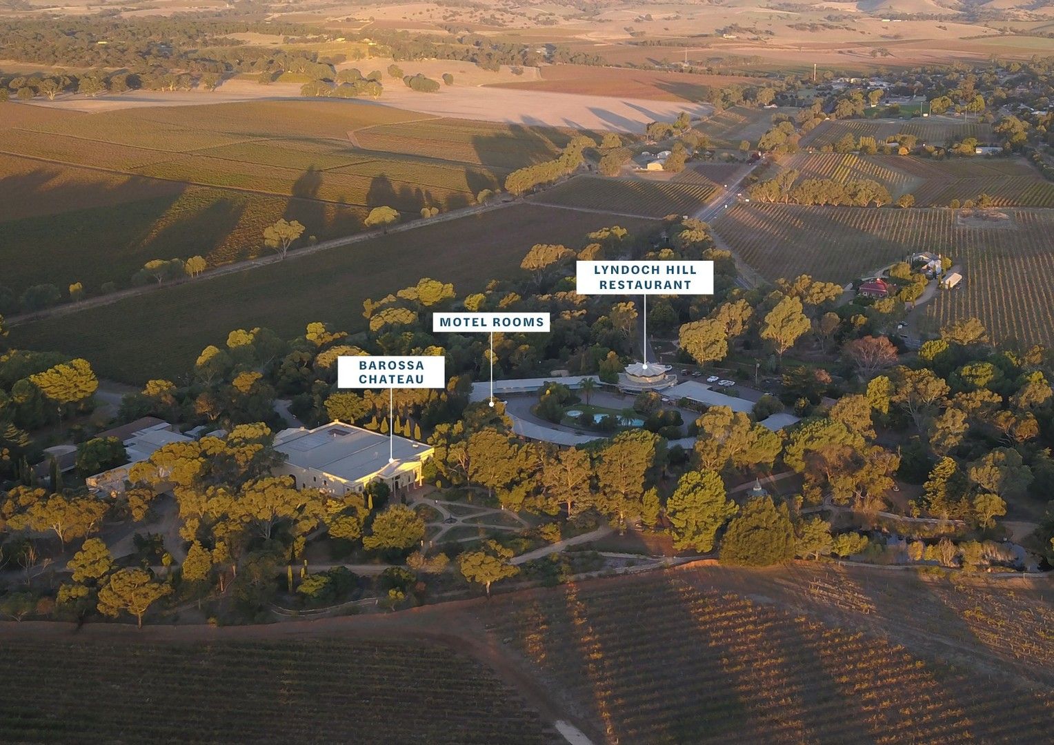 1221 Barossa Valley Way, Lyndoch SA 5351 House for Sale Domain