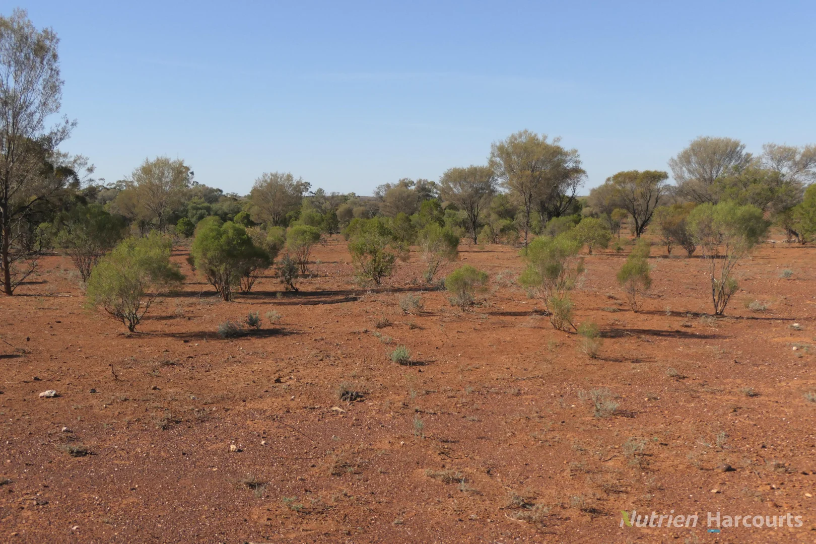 Additional image 5 of 27 Singleton Drive, Cobar NSW 2835