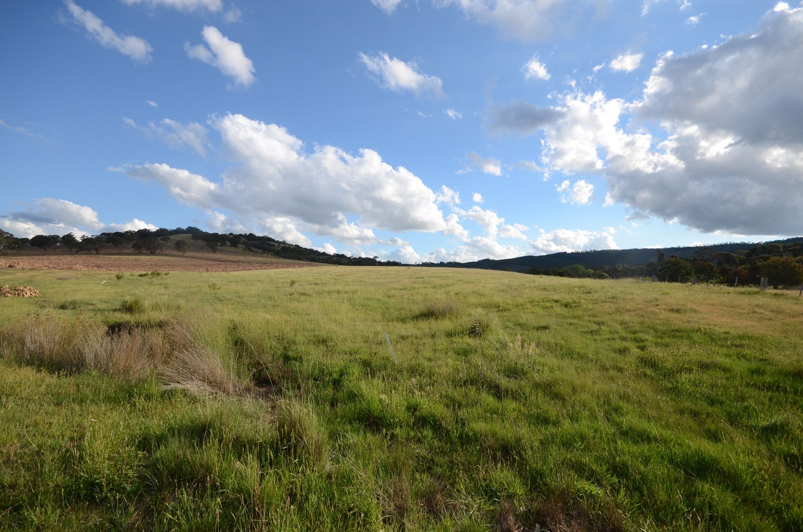 Lot 1 "Cocking C" Mount Lonarch Road, Mount Lonarch VIC 3468, Image 1