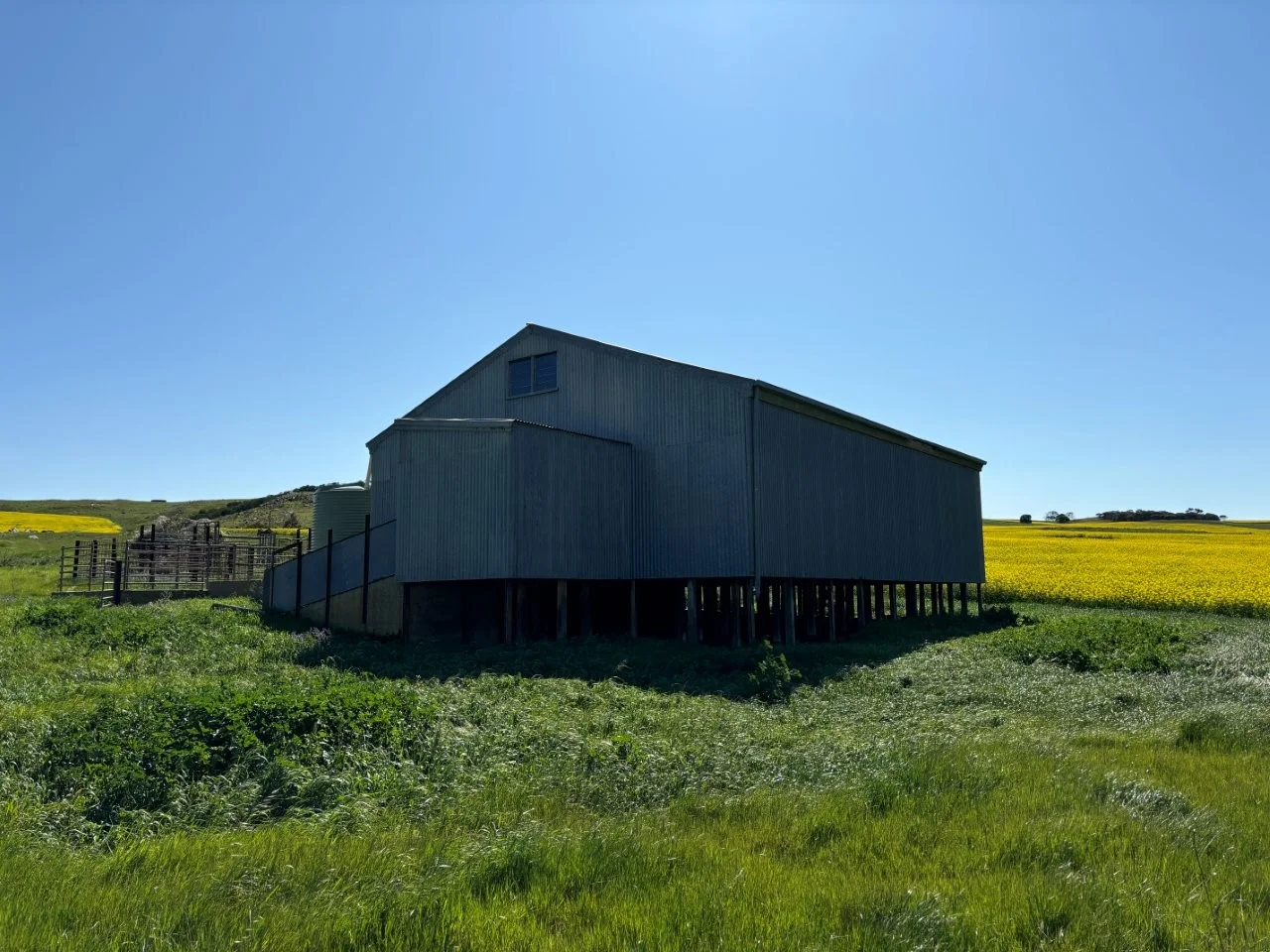 Image 16