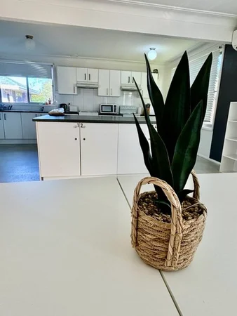 Additional image 9 of Rooms/50 Allowah Street, Waratah West NSW 2298