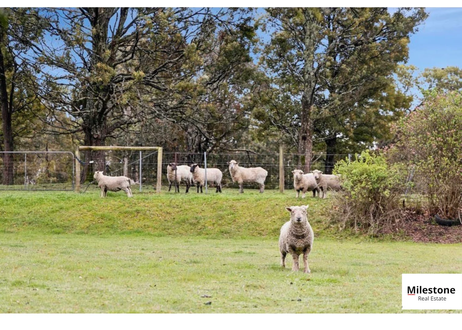 Additional image 14 of 289 Harpers road, Woodend VIC 3442