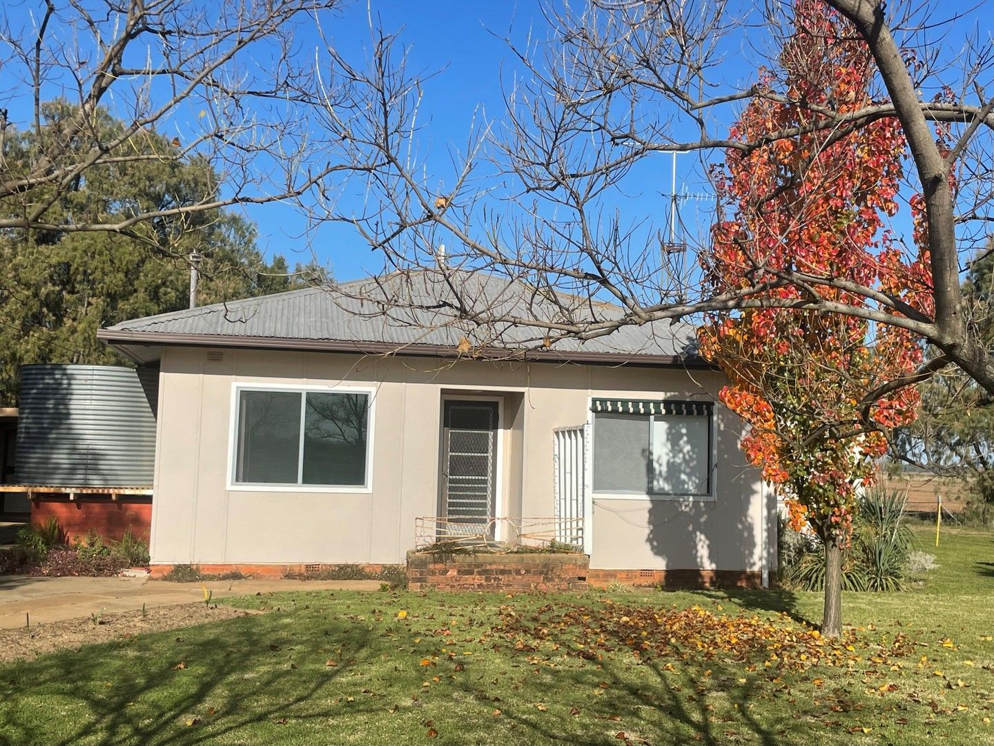 1685 Houghton, Leeton NSW 2705 House For Rent 400 Domain