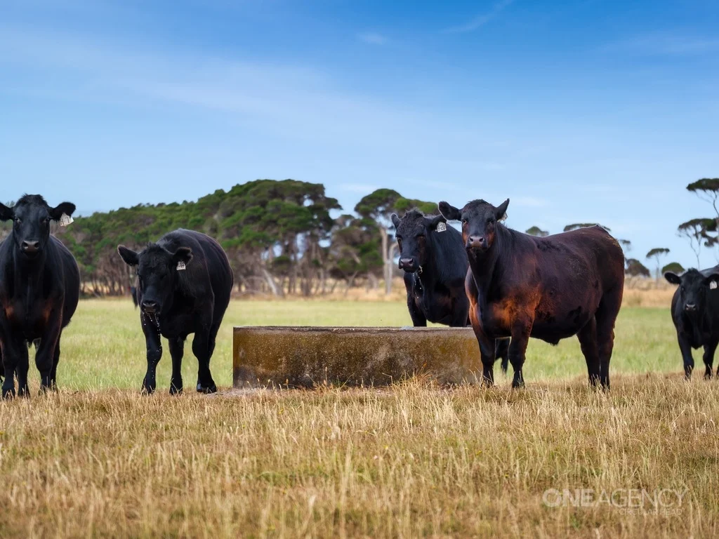 Additional image 19 of 50 Anthony Beach Road, Smithton TAS 7330