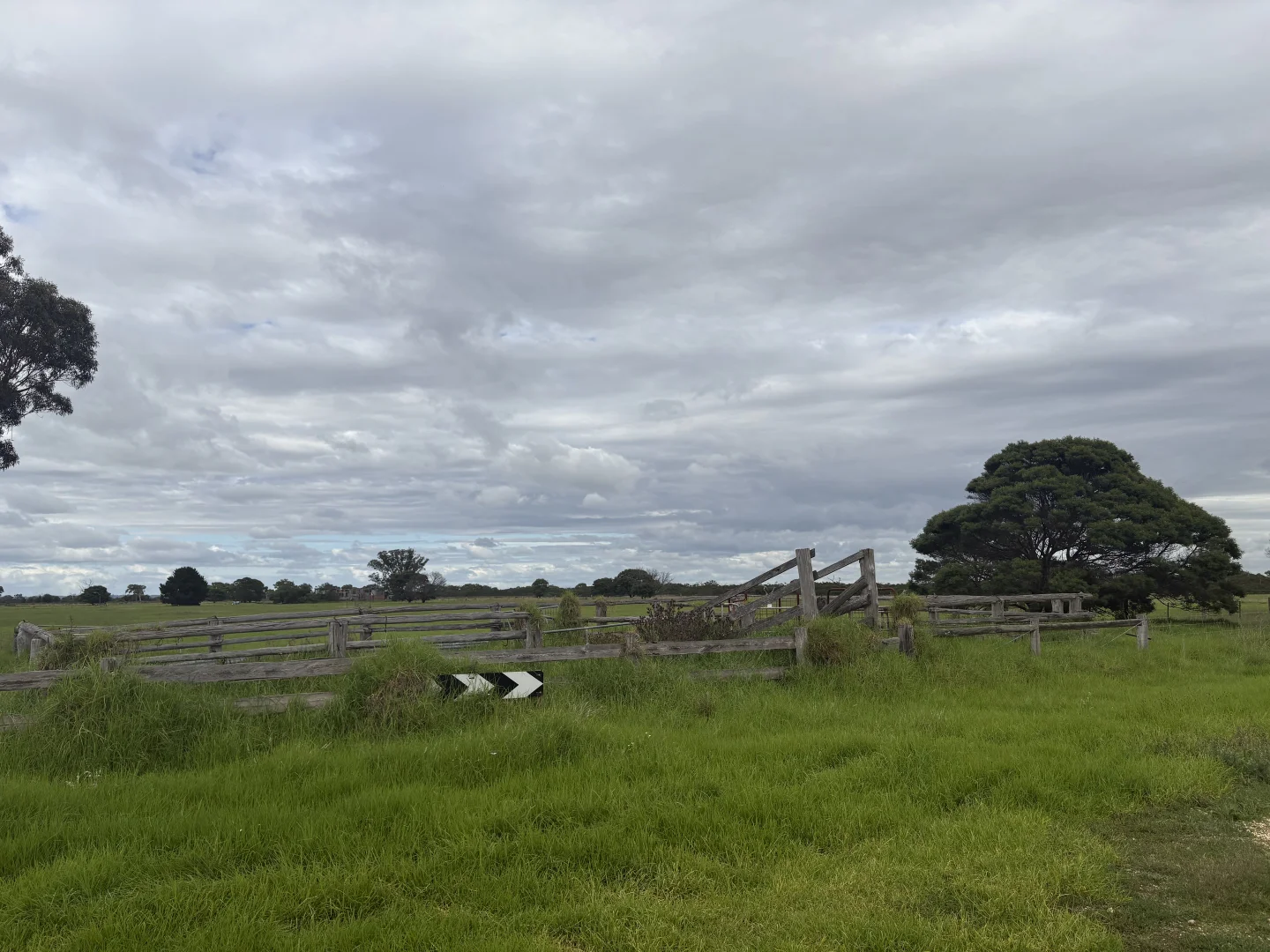 Image 20