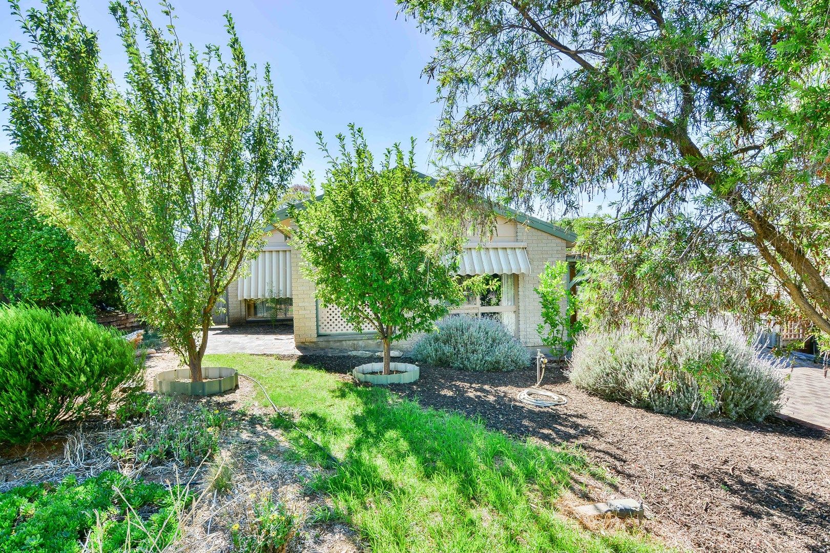 14 Dickerson Crescent, Trott Park SA 5158, Image 0