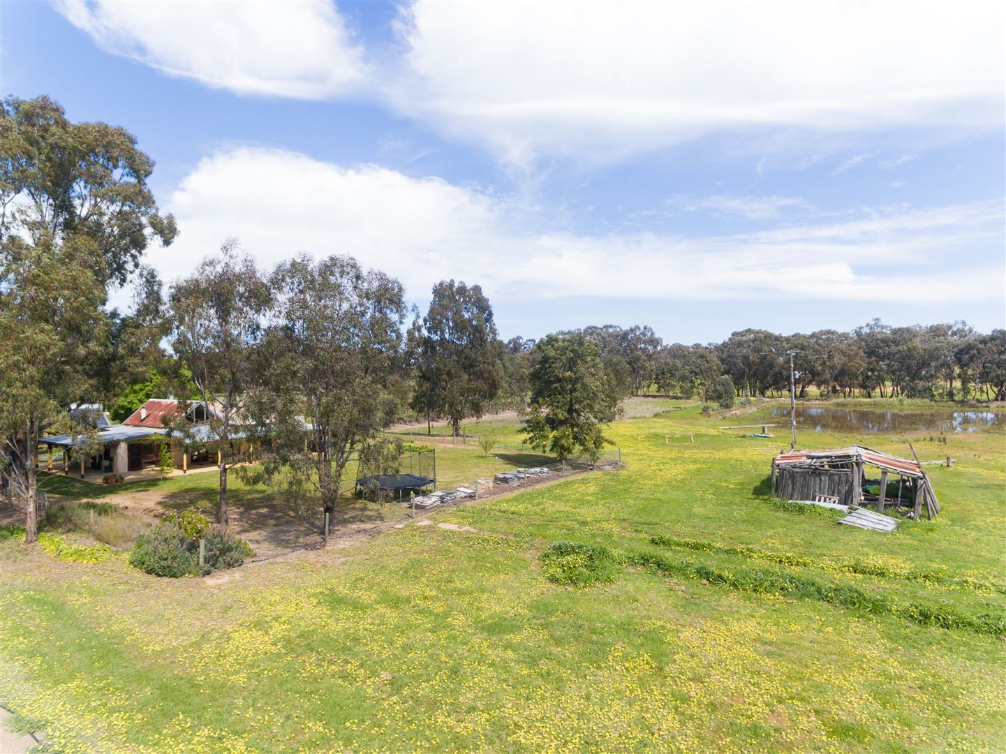 236 Walls Road, Violet Town VIC 3669, Image 2