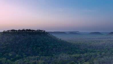 Picture of Silkwood, ADELAIDE RIVER NT 0846