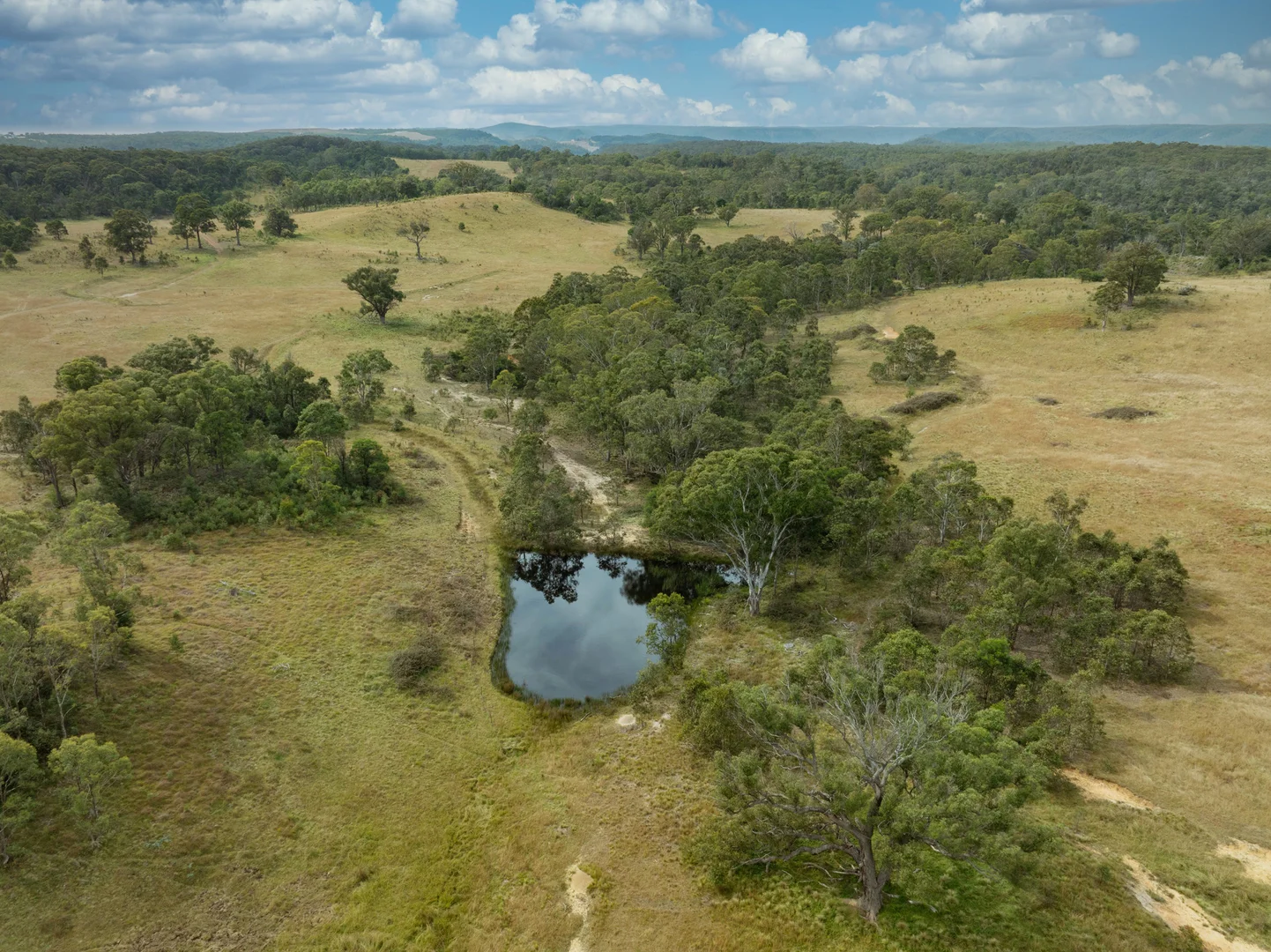 Image 13