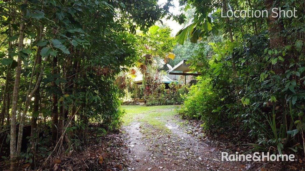 7 Red Gum Road COW BAY, Daintree QLD 4873, Image 0