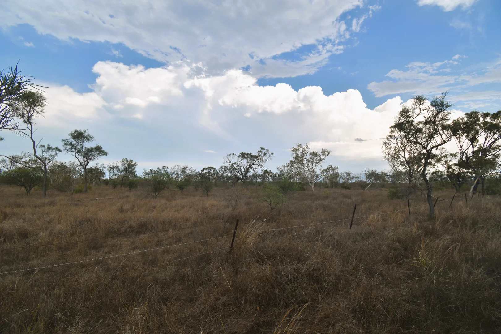 Additional image 11 of 8 Coventry Road, Guthalungra QLD 4805