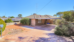 Picture of 19 Goomalling Rd, NORTHAM WA 6401