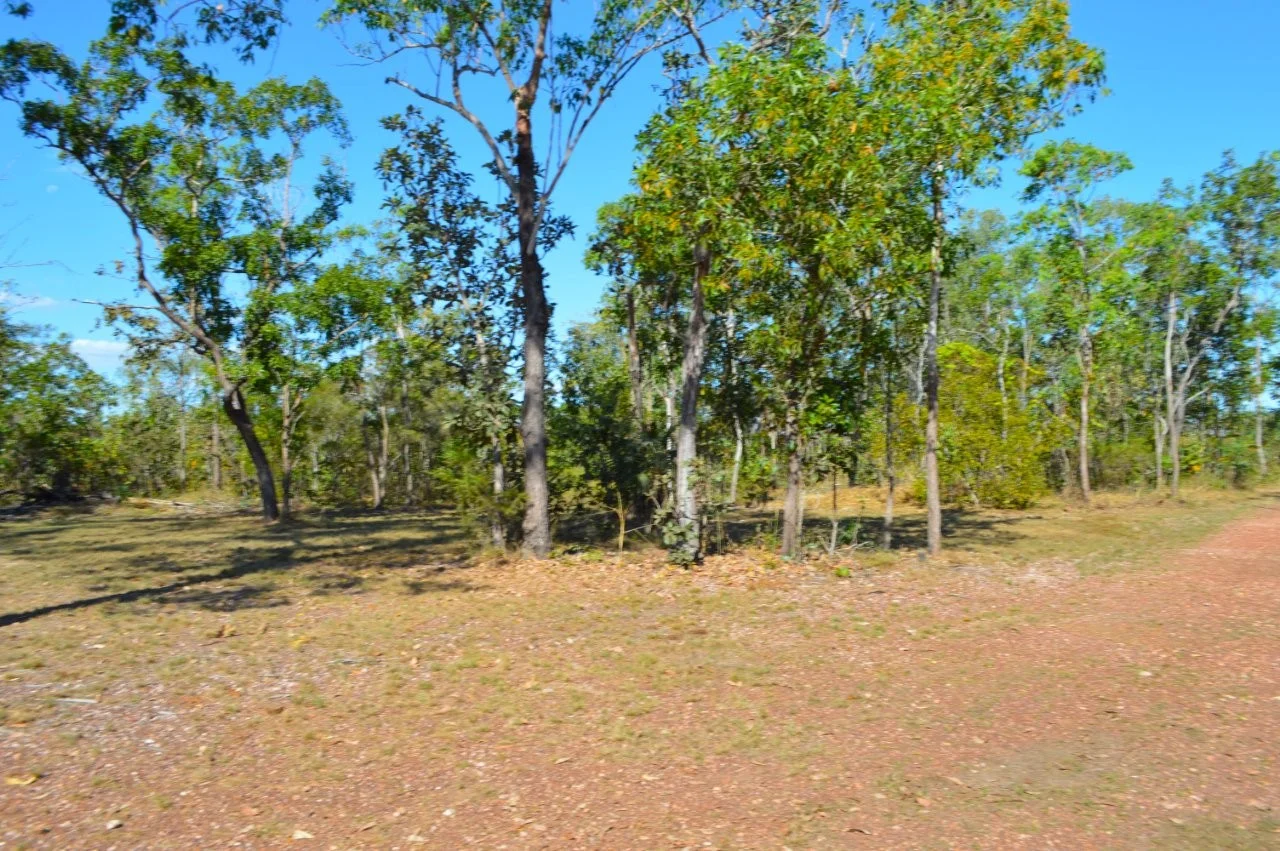 Image 30
