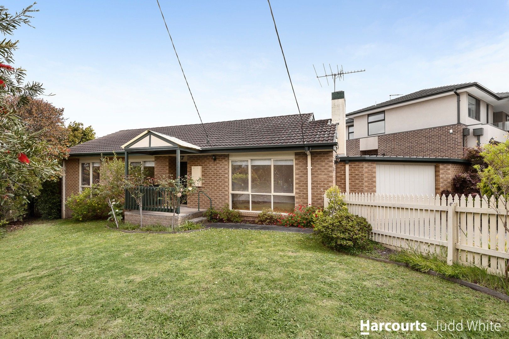 55 Doynton Parade, Mount Waverley VIC 3149, Image 0