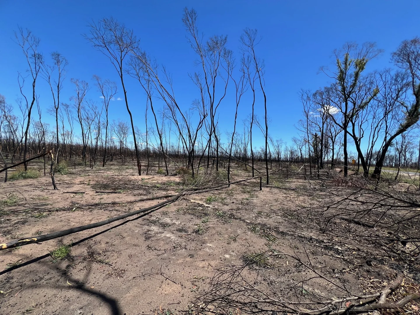 Additional image 6 of Lot 16 Tara-Chinchilla Road, Tara QLD 4421