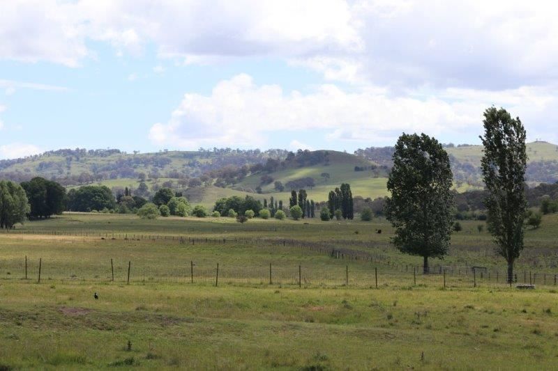 'Camlea'/3214 Mount Mitchell Road, Glencoe NSW 2365, Image 0